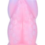 Plug Anal Rainbow Canine - photo 3