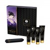 Set Geisha Traviesa