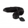 Kit Plug Anal y Diadema Felina - photo 2