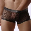 Boxer Transparente con Cuadros