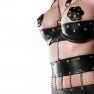 Ensemble Chaines et Rivet - photo 3