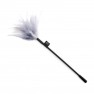 Plumero Caricia Tease - photo 0
