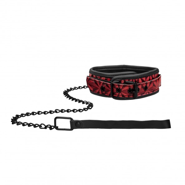 Collar con Correa Luxury