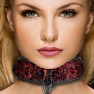 Collar con Correa Luxury - photo 1