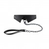 Collier et Laisse Exclusive