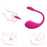 Huevo Vibrador Conectado Lush 2 - photo 11