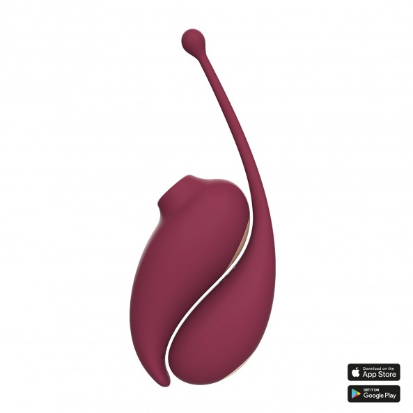 Huevo vibrador y Estimulador Clitoriano Conectados Inspiración