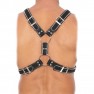 Harnais Z Series Scottish - photo 1