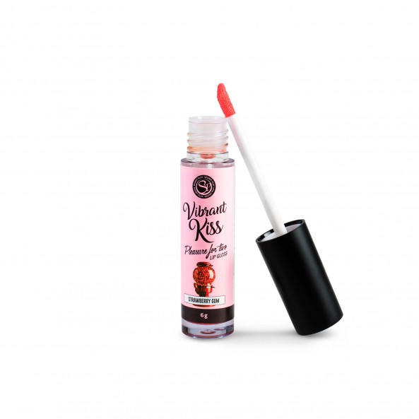 Gloss Vibrant Kiss Brillant à Lèvres