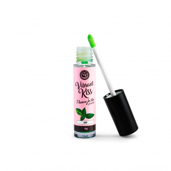 Gloss Vibrant Kiss Brillo de Labios Vibrante