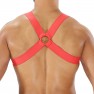 Harnais Élastique Fetish - photo 2