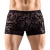 Boxer Lettres